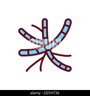 Bacteria filamentous color line icon. Vector illustration Stock Vector