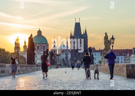 Praha: Charles Bridge (Karlův most, Karlsbrücke), Old Town Bridge Tower (Staroměstská mostecká věž), sunrise, people with dogs in Vltava, Moldau, Prah Stock Photo