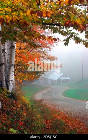 Sugar Shack in Vermont Autumn color scenic on a foggy morning winding road Stock Photo
