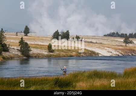 A fly fisherman on the Firehole River in Yellowstone National Park in Wyoming.  Steam rises from the Midway Geyser Basin behind. Stock Photo