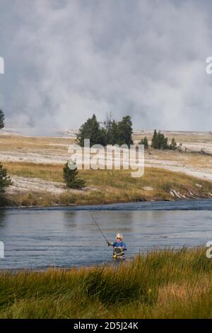 A fly fisherman on the Firehole River in Yellowstone National Park in Wyoming.  Steam rises from the Midway Geyser Basin behind. Stock Photo