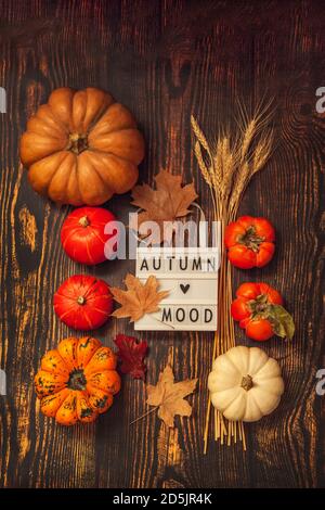Flat lay Still life Autumn mood. Pumpkins, wheat ears, maple leaves and lightbox on a brown wooden background. Stock Photo
