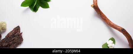 Eco banner. Tree bark, driftwood, moss, leaves used as border on light grey background. Space for your text in the centre. Top view. Stock Photo