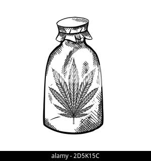 Natural herbal medicine. Glass bottle with a leaf of marijuana. Black and white sketch with a hatch. Engraving vector object for articles, banners and Stock Vector