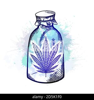 Natural herbal medicine. Glass bottle with a leaf of marijuana with blue watercolor splash. Sketch with hatching. Engraving vector object for articles Stock Vector