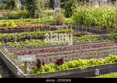Potager garden with symmetrical garden beds growing rows of vegetables with flowers, fruit and herbs intermingled. Stock Photo