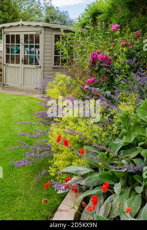 Landscaped private garden (contemporary design, colourful summer flowers, border plants & shrubs, summerhouse shed, lawn) - Yorkshire, England, UK. Stock Photo