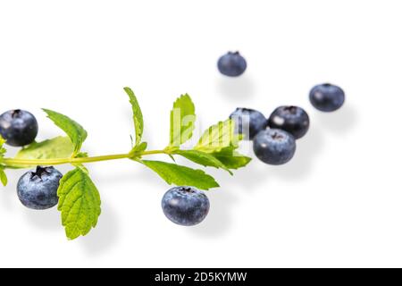 Fresh summer berry is blueberries with a sprig of mint isolated on white background, top view. Flat layout. Space for text Stock Photo