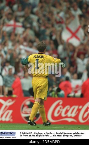 22-JUN-96 ..England v Spain ... David Seaman celebrates in front of the English fans