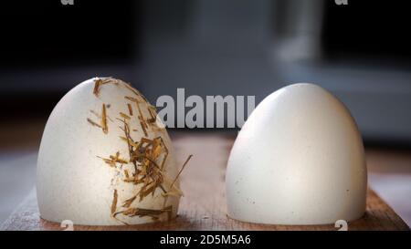 Two fresh hens eggs in wooden holder in kitchen. Dark background ingredients food produce healthy eating. Stock Photo