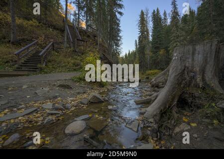 Beautiful shot of a stream in a forest in Hard Luck Canyon of Alberta, Canada Stock Photo