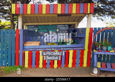 Inland Gold Coast, Queensland, Australia.  Roadside stall selling avocados in the Tamborine Mountain area. Stock Photo