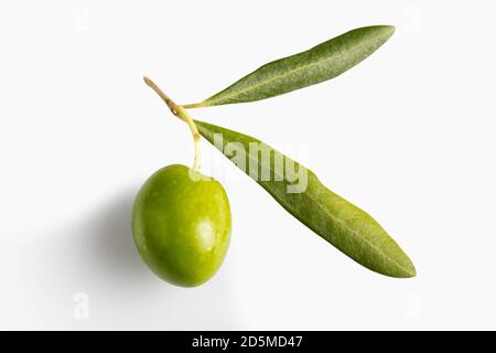 green olive on white background Stock Photo