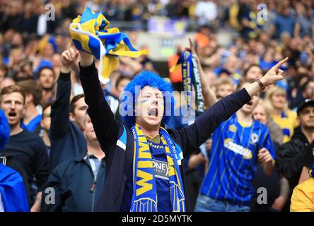 AFC Wimbledon fans show their support in the stands. Stock Photo