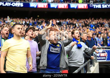 AFC Wimbledon fans show their support in the stands. Stock Photo