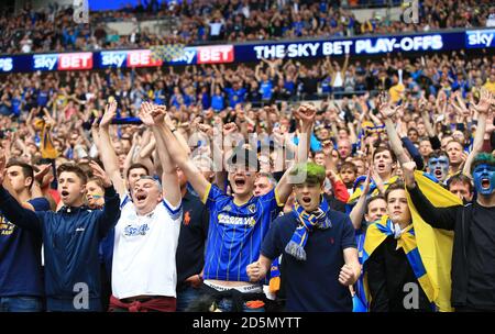 AFC Wimbledon fans show their support in the stands. Stock Photo