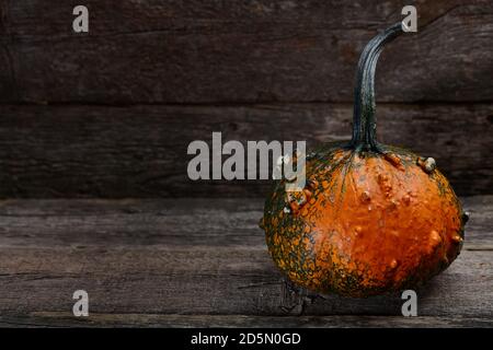 Warty Halloween pumpkin in old barn on wooden background, holiday decoration Stock Photo