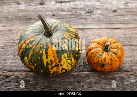 Colorful autumn pumpkins on wooden planks, holiday decoration Stock Photo