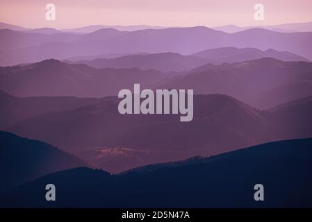 Carpathian mountains summer sunset landscape with abstract gradient of mountain peaks in violet colors, natural travel outdoor background Stock Photo