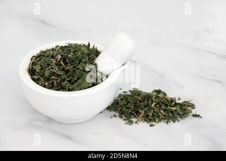Pellitory of the wall herb in a mortar with pestle used in herbal medicine to treat fluid retention, urinary tract disorders, constipation & coughs. Stock Photo