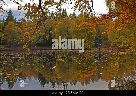 Perthshire, Scotland, UK, Loch Dunmore. 14 October  2020. Autumn foliage in Faskally Woods, and around the loch near Pitlochry, Scotland, UK. Stock Photo