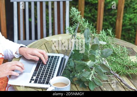 A woman checks on emails while working from home in the garden Stock Photo