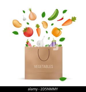 Shopping paper bag with fresh vegetables falling into it - potato, carrot, cucumber, onion, pepper, tomato, aubergine, eggplant, garlic. Vegetarian or Stock Vector