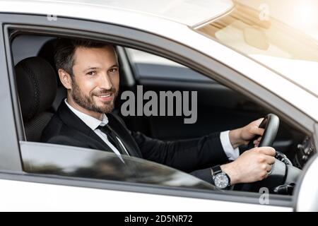 Cheerful successful businessman looking through car window Stock Photo