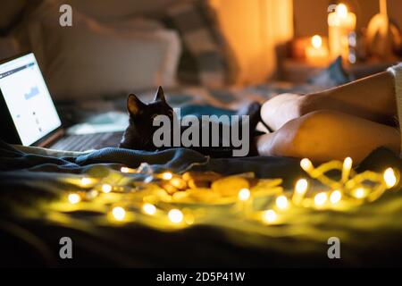 cozy Christmas at home woman in wool socks and black cat in bed Stock Photo