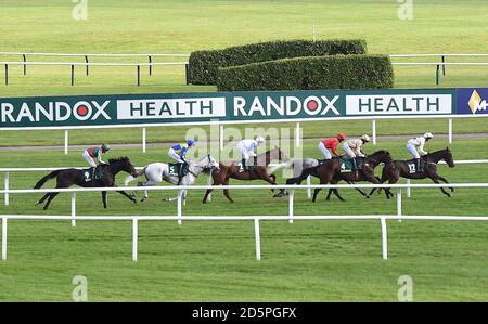 A general view of Randox Health branding and signage at Cheltenham racecourse  Stock Photo