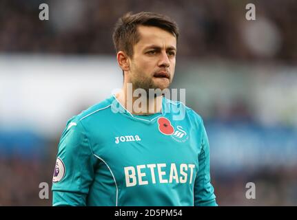 Swansea City goalkeeper Lukasz Fabianski Stock Photo