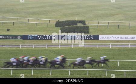 General view of the race course as horses pass BetVictor branding during the Bet VictorHandicap Steeple Chase Race ahead ofWarrantor and Minella Rocco  during the BetVictor Gold Cup Day of The Open at Cheltenham Racecourse Stock Photo