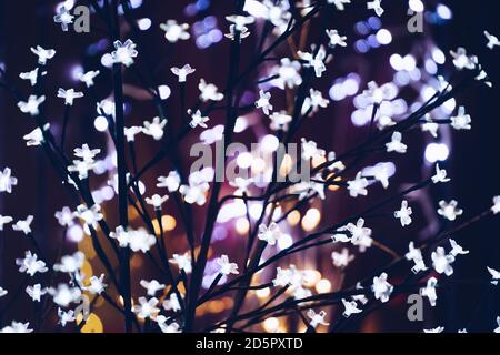 Abstract defocused christmas background. Happy new year Stock Photo