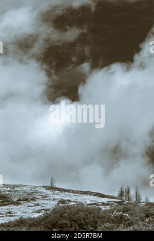 Dramatic clouds in the sky over pine trees at Tountinna, Tonn Toinne, in the Arra Mountains on the Lough Derg way, County Tipperary, Ireland Stock Photo