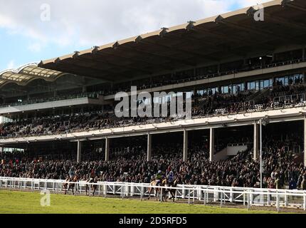 Runners and riders in front of the Grandstand after the Spectra Cyber Security Solutions Clarence House Chase during Festival Trials Day at Cheltenham Racecourse  Stock Photo