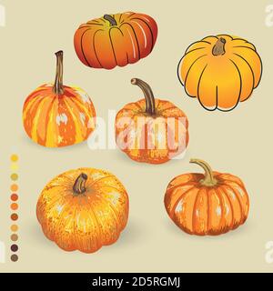 vector set isolated pumpkin autumn design Stock Vector