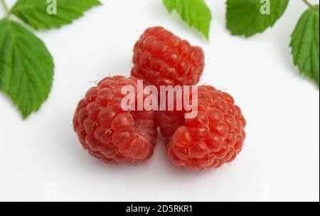 Three ripe raspberries isolated on a white background close-up. Beautiful red fresh raspberry with leaves along the contour on the table. Macro shooti Stock Photo