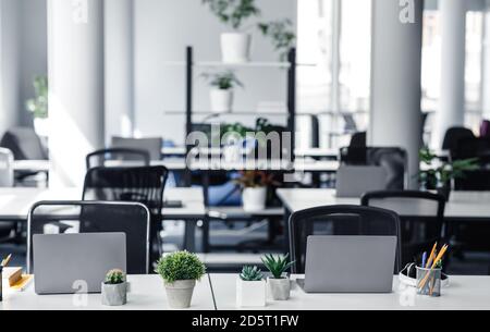 Coworking eco-office and absence of workers during quarantine Stock Photo