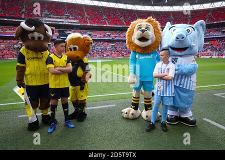 Coventry City Mascot Sky Blue Sam and mascot and Oxford United Mascot Olly the Ox and Oxford United mascot on the pitch  Stock Photo