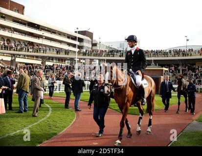 Equine superstars William Fox Pitt on Chilli Morning in the paddock during the April Meeting at Cheltenham Racecourse Stock Photo