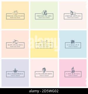 Fruits and Beries Abstract Vector Signs, Symbols or Logo Templates Collection. Hand Drawn Strawberry, Apples, Peaches, Pears and Bananas Sketches Stock Vector