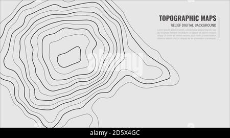 Grey Contours Vector Topography. Geographic Mountain Topographic Vector illustration. Topographic Pattern Texture. Map on Land Terrain with Contour in Lines. Elevation Graphic Contour Height Lines. Stock Vector