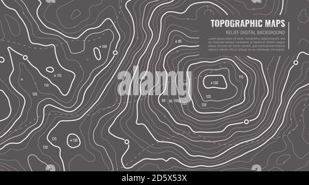 Geographic Topographic Map Grid. Topography Map Background. Vector Web Banner in Grey Colors. Stock Vector