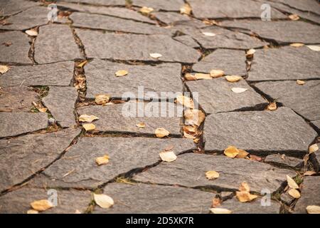 autumn background, texture. stone slabs with yellow orande leaves Stock Photo
