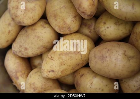 'Fresh Potatoes' This photos was taken at a local farmers market. September 2020 Stock Photo