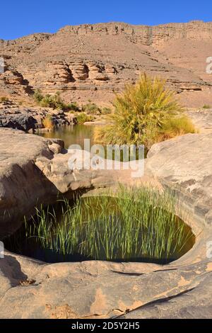 Algeria, Tassili N'Ajjer National Park, Iherir, Water in a guelta in Idaran Canyon Stock Photo