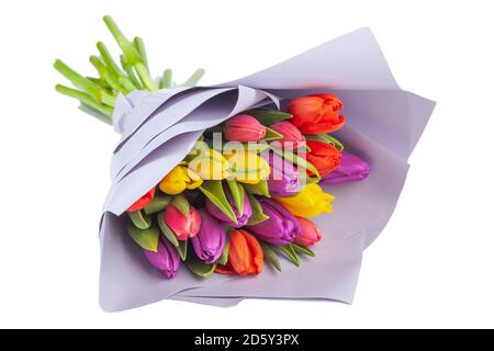 bouquet of multicolored tulips wrapped in light purple paper Stock Photo