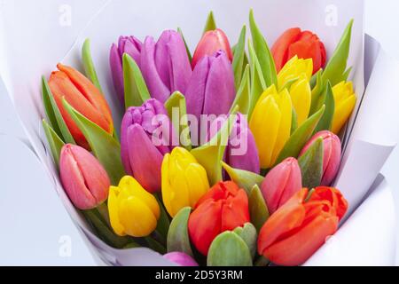 bouquet of multicolored tulips wrapped in light purple paper Stock Photo