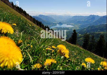 Austria, Salzburg State, View from Zwoelferhorn near Sankt Gilgen to Lake Wolfgangsee and Hoellen Mountains Stock Photo