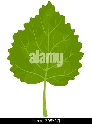 Birch leaf isolated on white background. Part of tree in cartoon style. Stock Vector